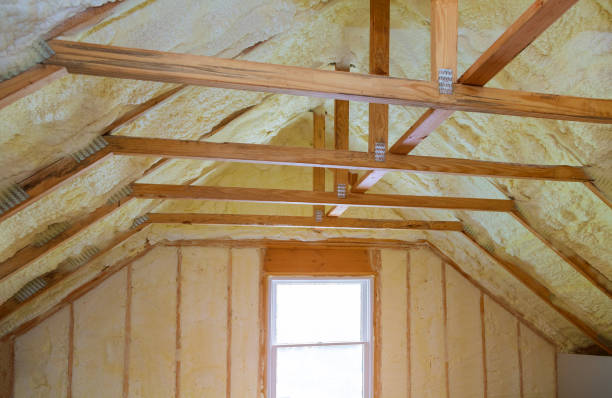 Best Insulation Replacement Services  in Haskins, OH