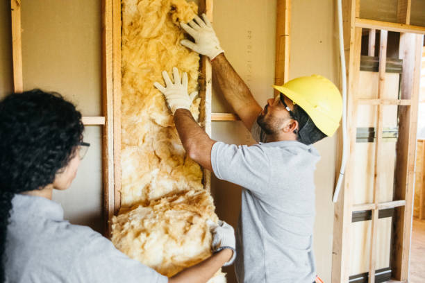 Best Wall Insulation Contractor  in Haskins, OH