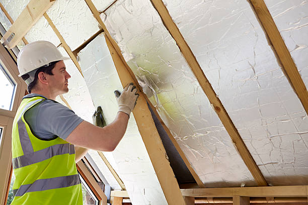 Best Residential Insulation Services  in Haskins, OH